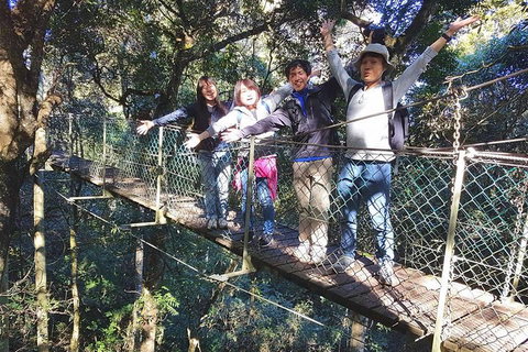 Exclusive Private Tour - Design Your Own - Food Delivery Shop 5