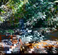 Aquaduck  Your choice of Gold Coast Rainforest Tour - Pet Food Australia