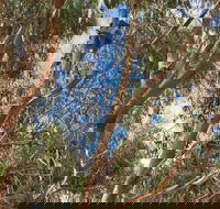 Kangaroo Island 4WD Tour - Best of KI in 2 Days - Food Delivery Shop