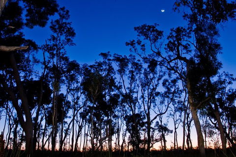 Small-Group Kangaroo Island 4WD Night Tour - Pet Food Australia 2