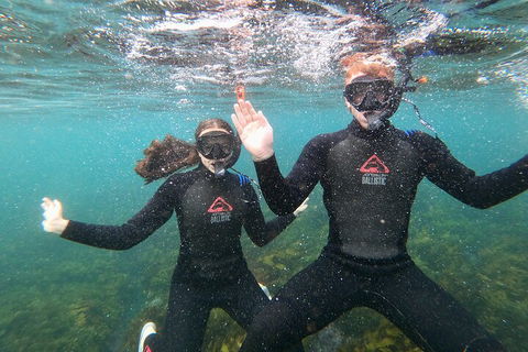 Manly Snorkel Trip And Nature Walk With Local Guide - Food Delivery Shop 3
