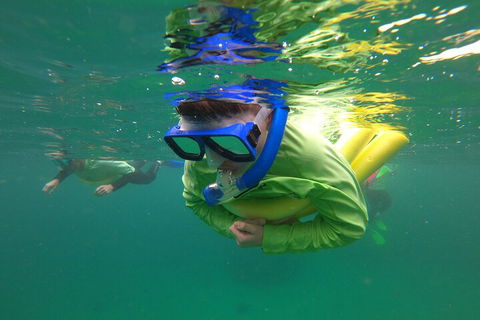 Manly Snorkel Trip And Nature Walk With Local Guide - Food Delivery Shop 5