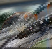 Sunset Experience - Food Delivery Shop