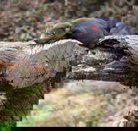 Day Keeper Tour - Food Delivery Shop