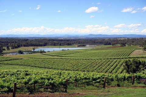 Private Hunter Valley Wine-Tasting Day Tour From Sydney - Food Delivery Shop 0