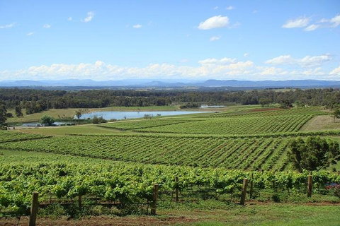 Private Hunter Valley Wine-Tasting Day Tour From Sydney - Food Delivery Shop 1