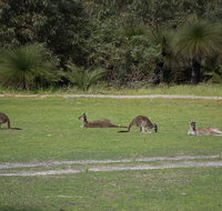 Yanchep  Lancelin - Wildlife Cave And Sands - Food Delivery Shop