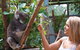 Private Guided Tour: Blue Mountains Tour From Sydney - thumb 5