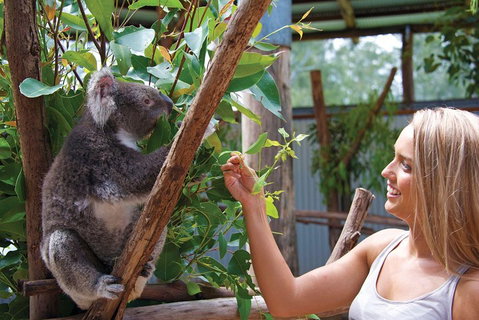 Private Guided Tour: Blue Mountains Tour From Sydney - Food Delivery Shop 5
