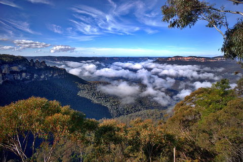 Unforgettable Blue Mountains Day Tour - Food Delivery Shop 1
