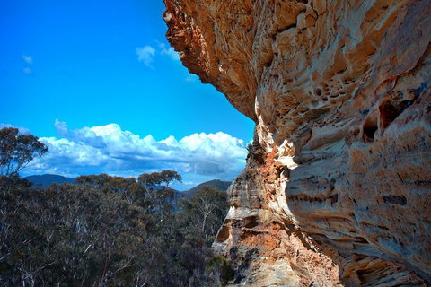 Unforgettable Blue Mountains Day Tour - Food Delivery Shop 2