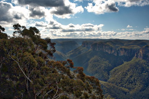 Unforgettable Blue Mountains Day Tour - Food Delivery Shop 4