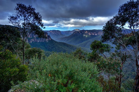 Ultimate Blue Mountains And Wildlife Tour - Food Delivery Shop 1