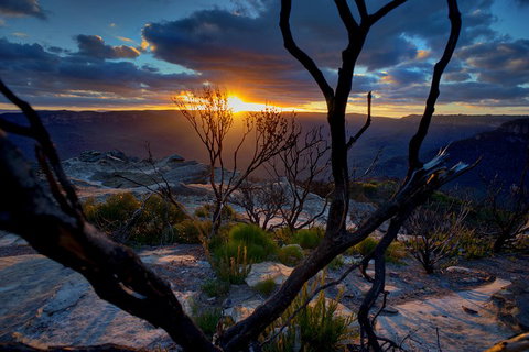 Ultimate Blue Mountains And Wildlife Tour - Food Delivery Shop 2