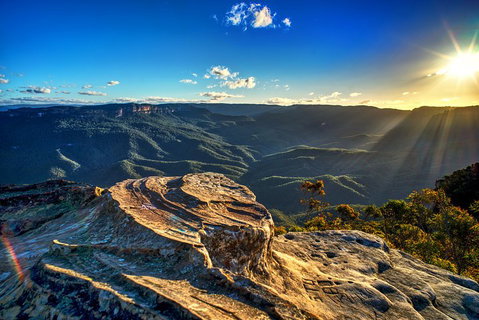Ultimate Blue Mountains And Wildlife Tour - Food Delivery Shop 4
