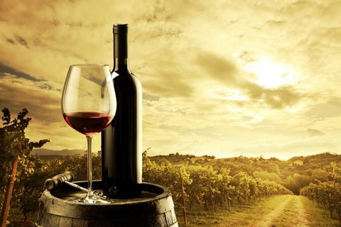 Barossa Valley Cellar Doors Luxury Wine Tour - Food Delivery Shop 0