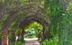 Barossa Valley Cellar Doors Luxury Wine Tour - thumb 3
