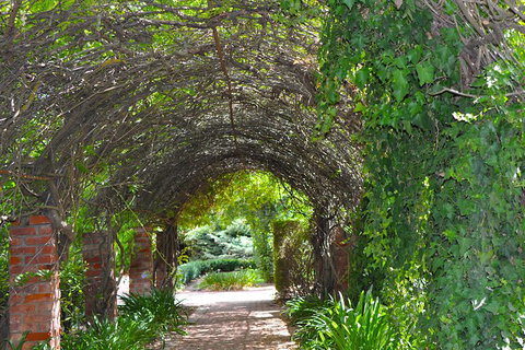 Barossa Valley Cellar Doors Luxury Wine Tour - Food Delivery Shop 3