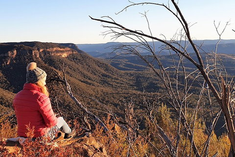 Ultimate Blue Mountains Waterfalls, Walks & Sunset PRIVATE Tour - Food Delivery Shop 2