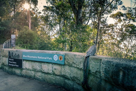 Ultimate Blue Mountains Waterfalls, Walks & Sunset PRIVATE Tour - Food Delivery Shop 3