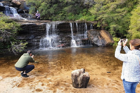 Blue Mountains Small Group Tour Enjoy A Sleep In, Waterfalls, Sunset & Dinner - Food Delivery Shop 2
