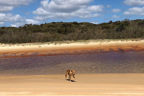 Pippies 3 Days 2 Nights Fraser Island Tour - Food Delivery Shop 2