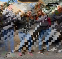 Guided Walking Tour in Adelaide - Food Delivery Shop