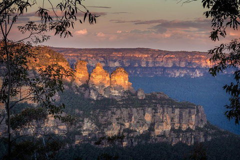Private Blue Mountains Tour With Kangaroo And Koala Experience - Food Delivery Shop 1
