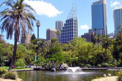 Private Sydney Half Day Tour Including Sydney Opera House And Bondi Beach - Food Delivery Shop 4