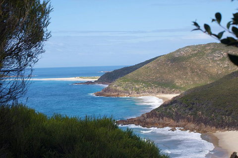 Private Port Stephens Day Trip From Sydney Including Dolphin Cruise - Food Delivery Shop 0