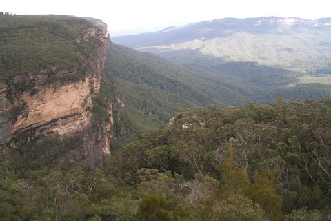 Full-Day Private Blue Mountains Tour With River Cruise - Food Delivery Shop 3