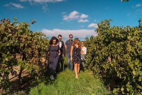 Barossa Valley Private Tour (from 2 To 11 People) - Food Delivery Shop 0
