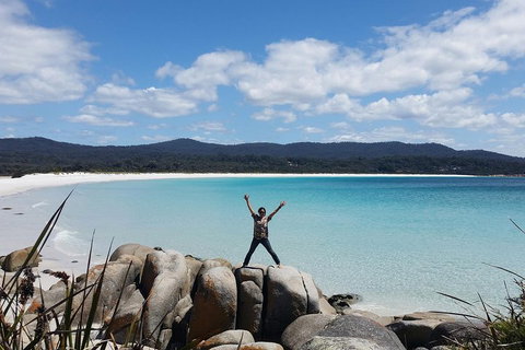 Tasmania 4 Day East Coast + Launceston - Food Delivery Shop 1