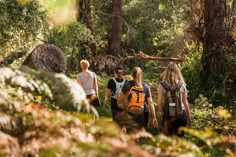 Cabaret Cave Yoga & Mindful Hike - Food Delivery Shop 2