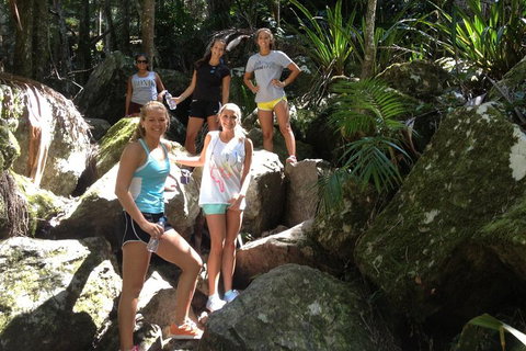 Byron Bay Combo: Hinterland Tour Including Minyon Falls And Kayaking With Dolphins - Food Delivery Shop 4
