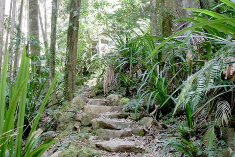 Byron Bay Combo: Minyon Falls And Hinterland Day Trip And Learn To Surf At Byron Bay - Pet Food Australia 3