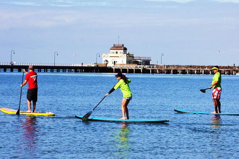 Private Stand-Up Paddle Board Lesson At St Kilda - Pet Food Australia 1
