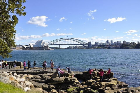 Sydney Sightseeing Bus Tours - Food Delivery Shop 2