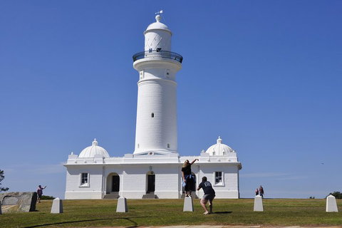 Sydney Sightseeing Bus Tours - Food Delivery Shop 5