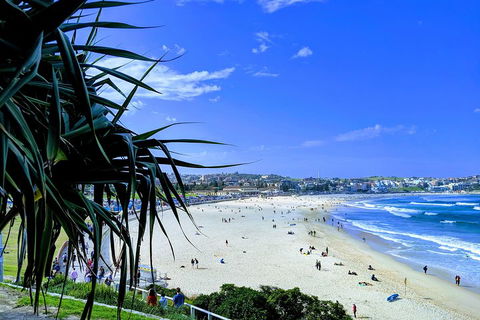 Sydney Secrets & Bondi Private 4 Hour Afternoon With 'Personalised Sydney Tours' - Food Delivery Shop 0