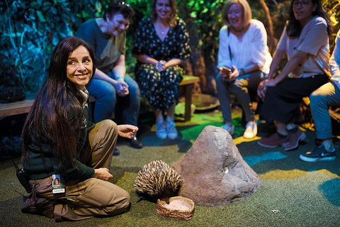 Sydney Taronga Zoo's Australian Animals Tour - Food Delivery Shop 0