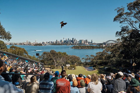 Sydney Taronga Zoo General Entry Ticket And Wild Australia Experience - Food Delivery Shop 5
