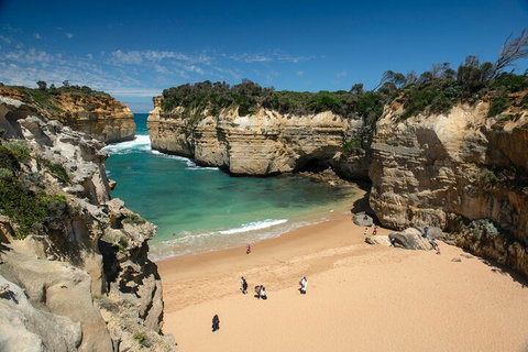 LGBT+ Friendly 12-Hour Great Ocean Road Private Tour - Food Delivery Shop 5