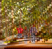 Darwin City Sights and Jumping Crocodile Cruise - Food Delivery Shop