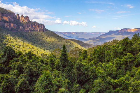 Blue Mountains Nature And Wildlife Day Tour From Sydney - Food Delivery Shop 1