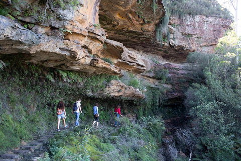 Blue Mountains Nature And Wildlife Day Tour From Sydney - Food Delivery Shop 2