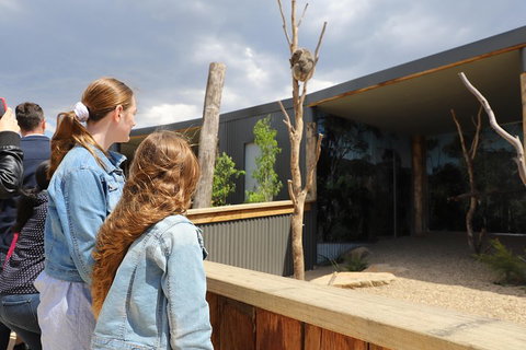 Blue Mountains Nature And Wildlife Day Tour From Sydney - Food Delivery Shop 3