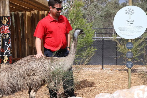 Blue Mountains Nature And Wildlife Day Tour From Sydney - Food Delivery Shop 5