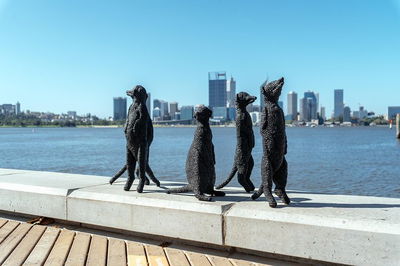 Perth by Bike Private Tour with a Local