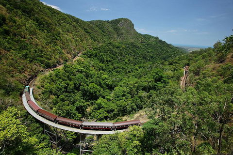 Skyrail Rainforest Cableway Day Trip From Cairns - Food Delivery Shop 5